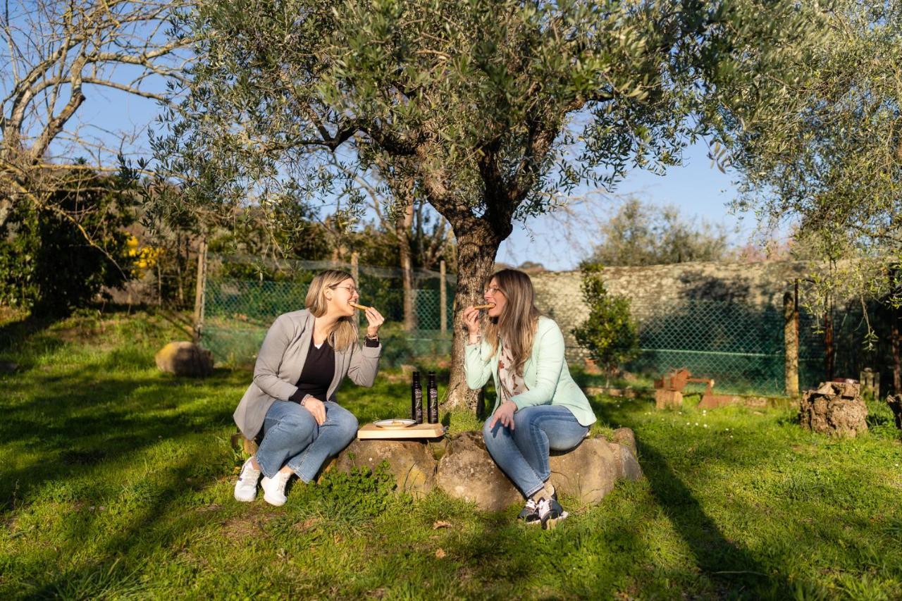 Agriturismo Bellandi Santa Lucia  外观 照片