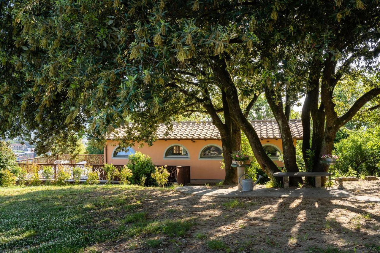 Agriturismo Bellandi Santa Lucia  外观 照片
