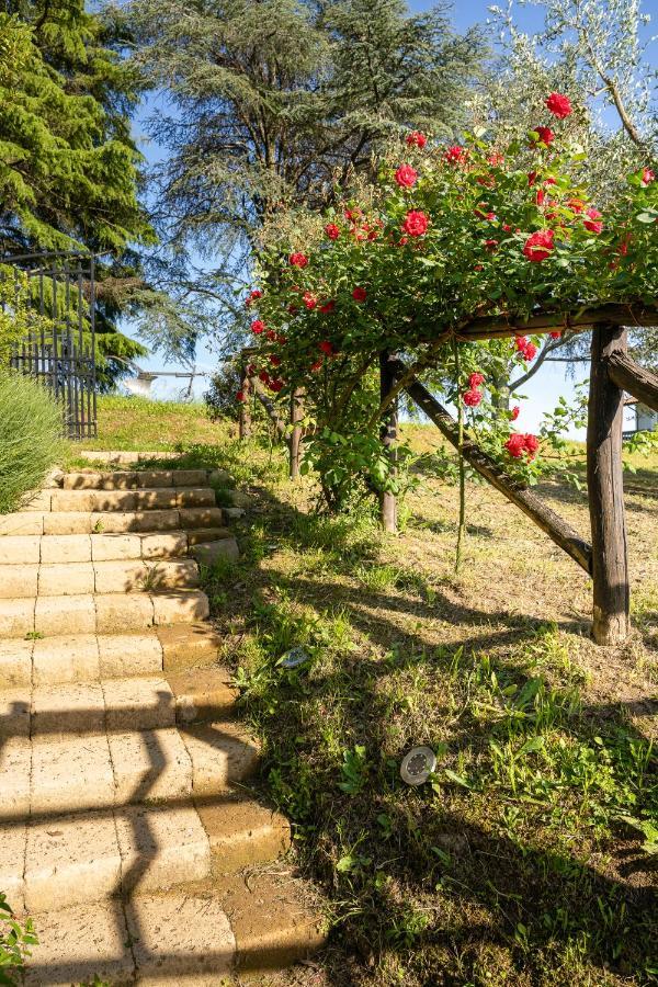 Agriturismo Bellandi Santa Lucia  外观 照片